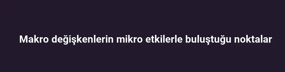 Makro değişkenlerin mikro etkilerle buluştuğu noktalar