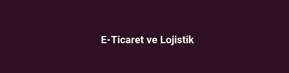 E-Ticaret ve Lojistik