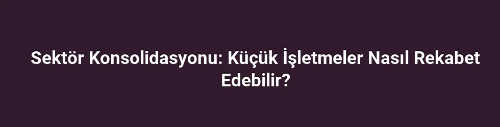 Sektör Konsolidasyonu: Küçük İşletmeler Nasıl Rekabet Edebilir?
