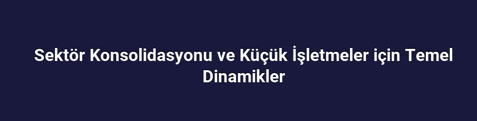 Sektör Konsolidasyonu ve Küçük İşletmeler için Temel Dinamikler