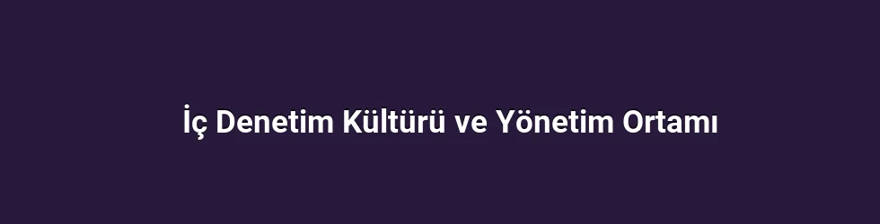 İç Denetim Kültürü ve Yönetim Ortamı