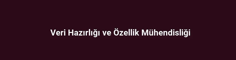 Veri Hazırlığı ve Özellik Mühendisliği