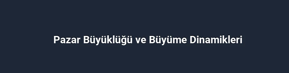 Pazar Büyüklüğü ve Büyüme Dinamikleri