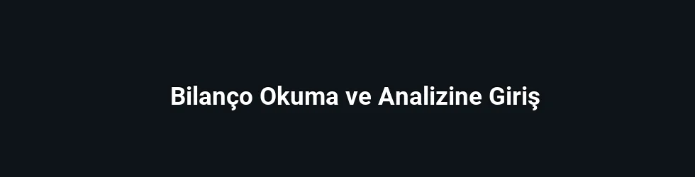 Bilanço Okuma ve Analizine Giriş