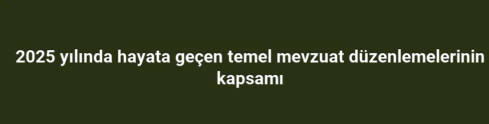 2025 yılında hayata geçen temel mevzuat düzenlemelerinin kapsamı