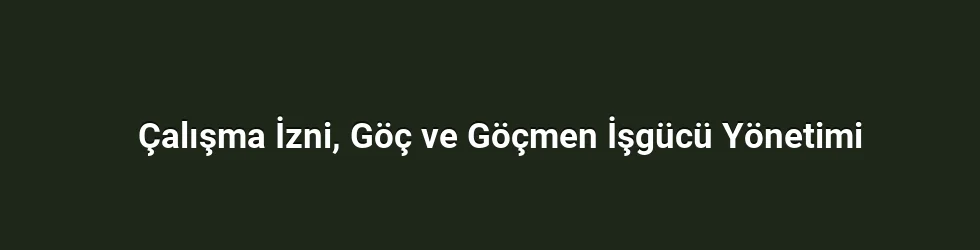 Çalışma İzni, Göç ve Göçmen İşgücü Yönetimi