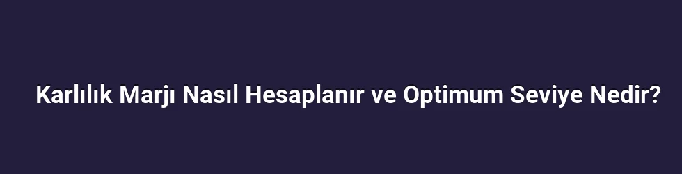 Karlılık Marjı Nasıl Hesaplanır ve Optimum Seviye Nedir?