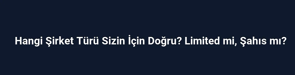 Hangi Şirket Türü Sizin İçin Doğru? Limited mi, Şahıs mı?