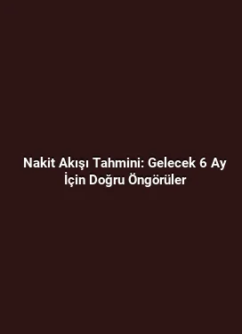 Nakit Akışı Tahmini: Gelecek 6 Ay İçin Doğru Öngörüler