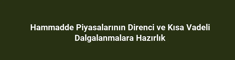 Hammadde Piyasalarının Direnci ve Kısa Vadeli Dalgalanmalara Hazırlık