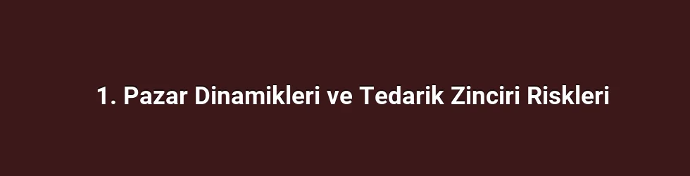 1. Pazar Dinamikleri ve Tedarik Zinciri Riskleri