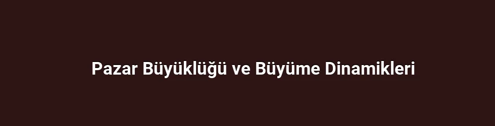 Pazar Büyüklüğü ve Büyüme Dinamikleri