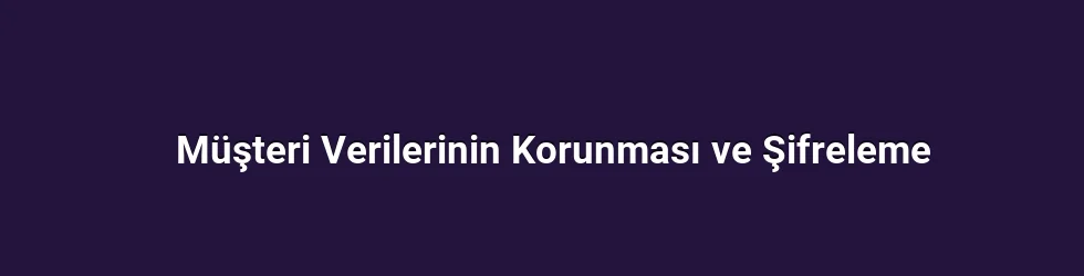 Müşteri Verilerinin Korunması ve Şifreleme