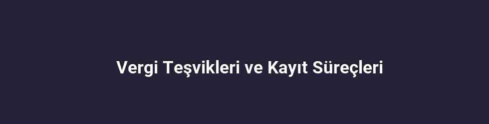 Vergi Teşvikleri ve Kayıt Süreçleri
