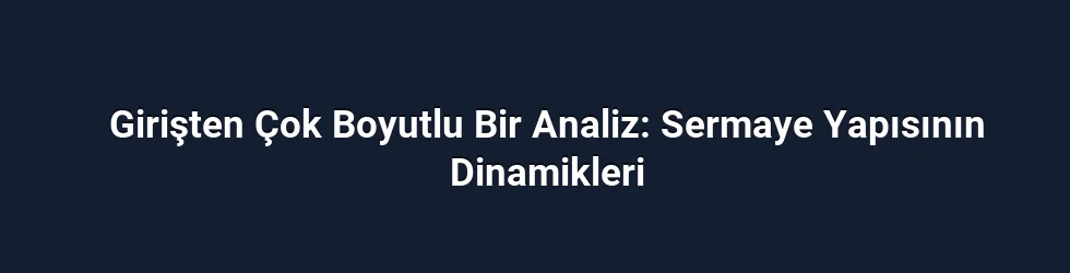 Girişten Çok Boyutlu Bir Analiz: Sermaye Yapısının Dinamikleri