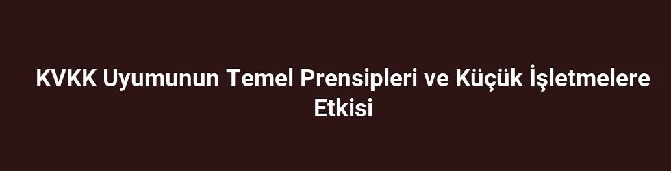 KVKK Uyumunun Temel Prensipleri ve Küçük İşletmelere Etkisi