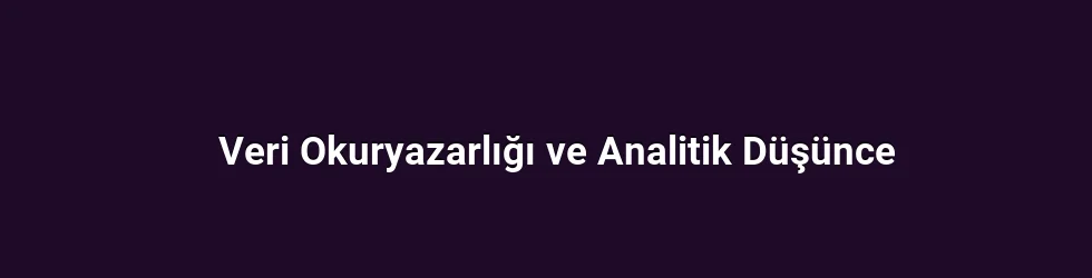 Veri Okuryazarlığı ve Analitik Düşünce
