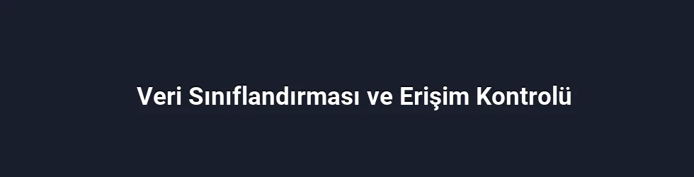 Veri Sınıflandırması ve Erişim Kontrolü