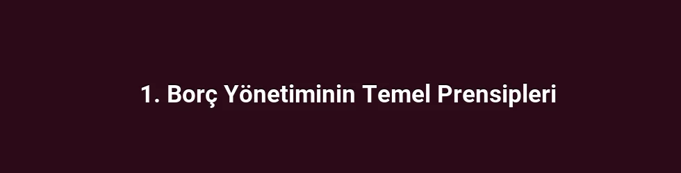 1. Borç Yönetiminin Temel Prensipleri