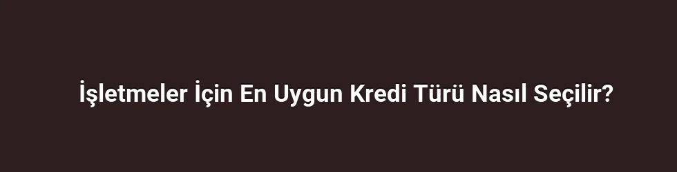 İşletmeler İçin En Uygun Kredi Türü Nasıl Seçilir?