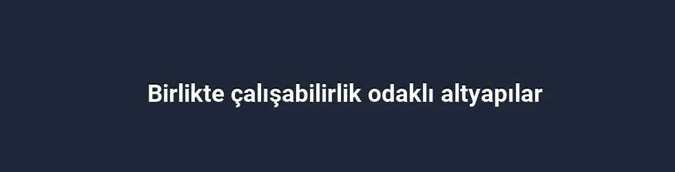 Birlikte çalışabilirlik odaklı altyapılar