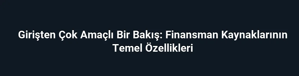 Girişten Çok Amaçlı Bir Bakış: Finansman Kaynaklarının Temel Özellikleri