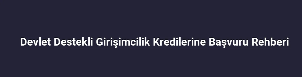 Devlet Destekli Girişimcilik Kredilerine Başvuru Rehberi
