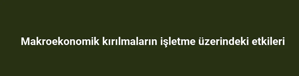 Makroekonomik kırılmaların işletme üzerindeki etkileri