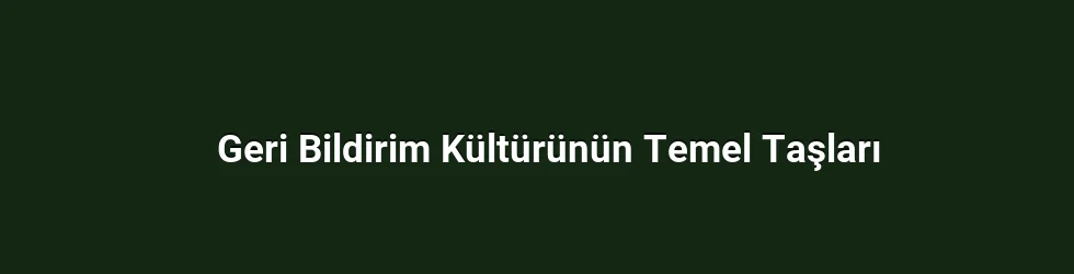 Geri Bildirim Kültürünün Temel Taşları