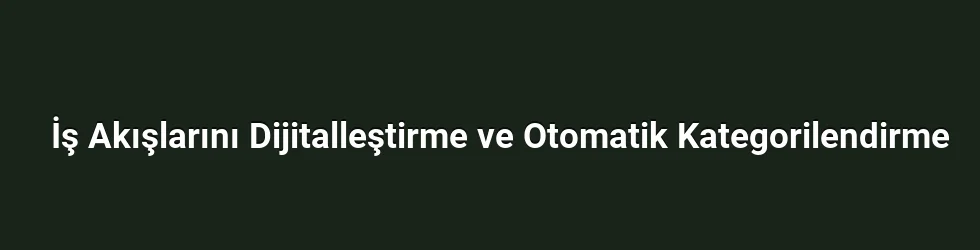 İş Akışlarını Dijitalleştirme ve Otomatik Kategorilendirme