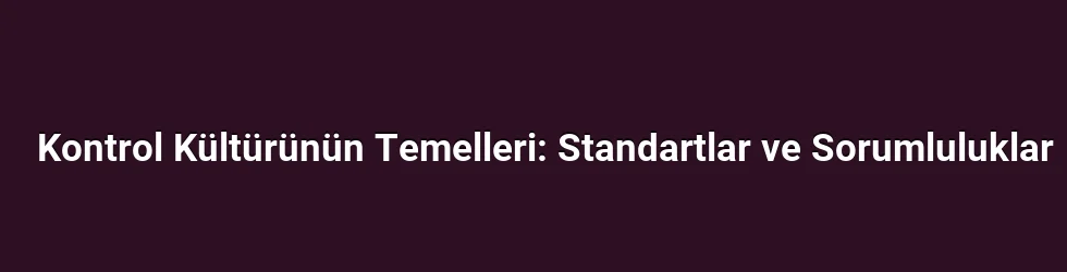 Kontrol Kültürünün Temelleri: Standartlar ve Sorumluluklar