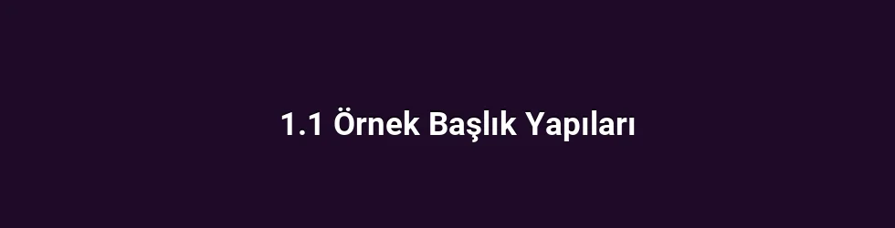 1.1 Örnek Başlık Yapıları