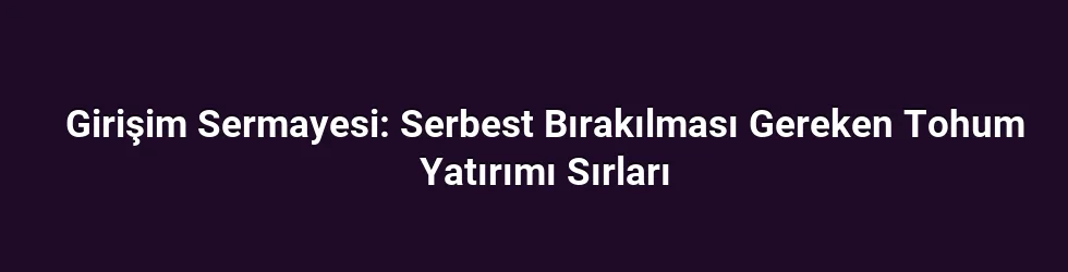 Girişim Sermayesi: Serbest Bırakılması Gereken Tohum Yatırımı Sırları