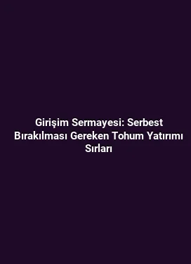 Girişim Sermayesi: Serbest Bırakılması Gereken Tohum Yatırımı Sırları