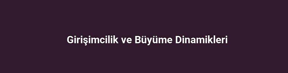 Girişimcilik ve Büyüme Dinamikleri