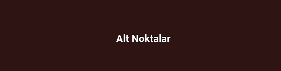Alt Noktalar