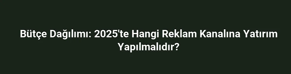 Bütçe Dağılımı: 2025'te Hangi Reklam Kanalına Yatırım Yapılmalıdır?