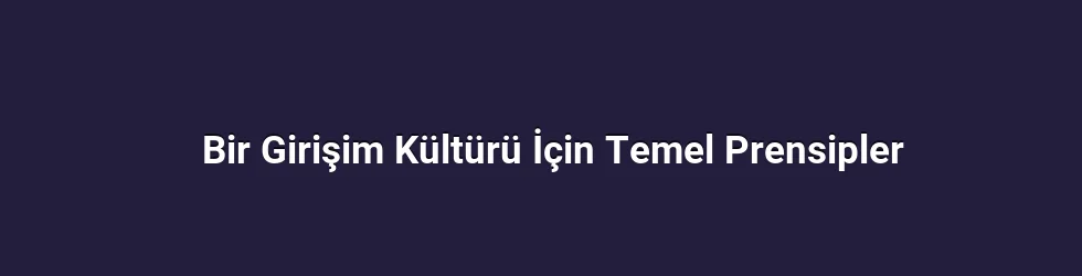 Bir Girişim Kültürü İçin Temel Prensipler