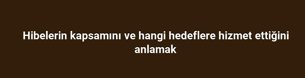 Hibelerin kapsamını ve hangi hedeflere hizmet ettiğini anlamak