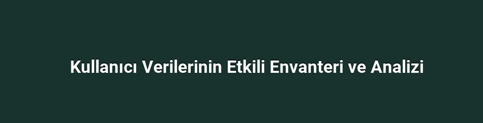 Kullanıcı Verilerinin Etkili Envanteri ve Analizi